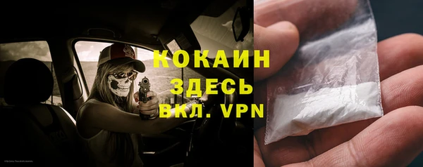 индика Абинск