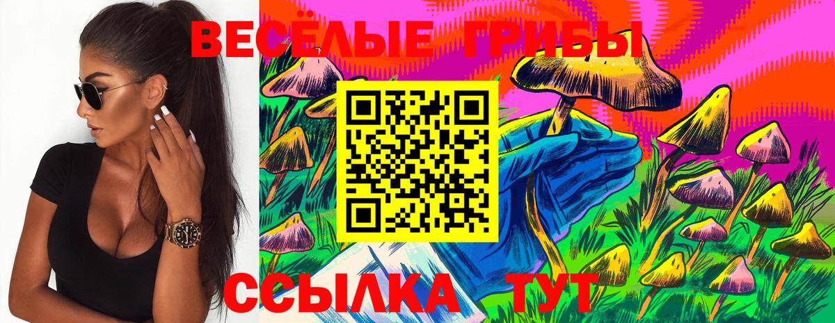 Галлюциногенные грибы ЛСД  Галлюциногенные грибы ЛСД  Зерноград  Вход с VPN 