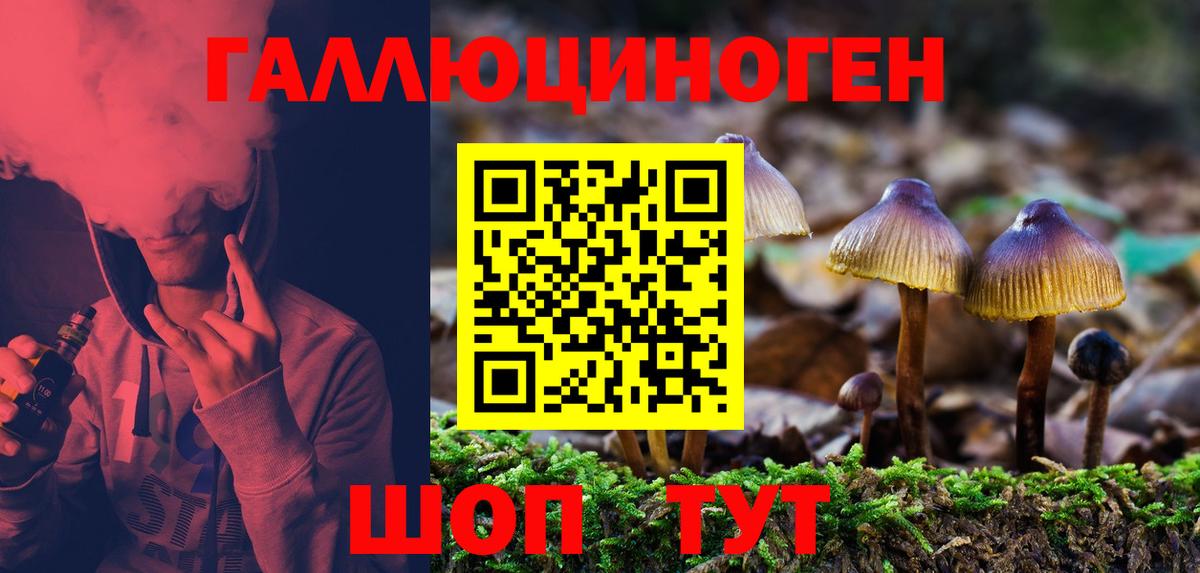 Псилоцибиновые грибы Psilocybine cubensis Зерноград